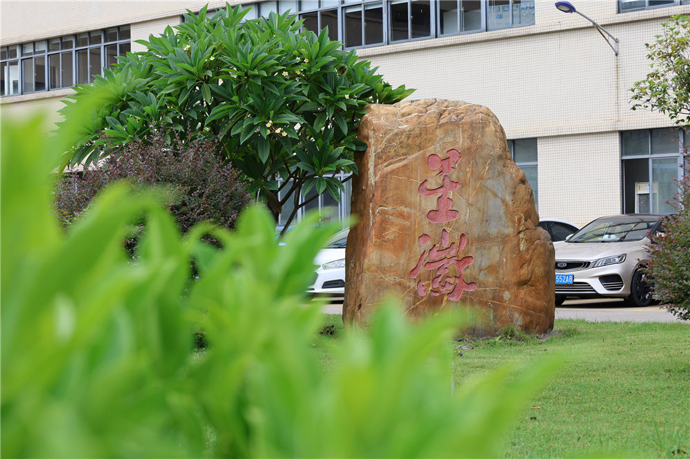 USDTǮ������